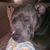 Meleta Hommes Jackson's profile image