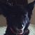 Sheila Katko's profile image