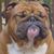Angela Epps-Gould's profile image