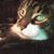 Cindy Honey's profile image