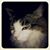 Karen Baker's profile image