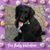 Patti Salizzoni's profile image