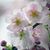 Kathie Bell's profile image