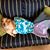 Deana Malcom White's profile image