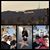 Deeny Ann Davis Hutchins's profile image