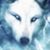 Carree Tifft's profile image