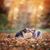 Patricia J Lindsley's profile image