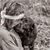 Sherry Geurts's profile image