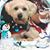 Brenda Manley's profile image