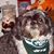 Marylou Speraddio's profile image