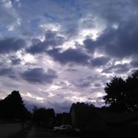 Judy Nichols's profile image