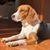 Leonard M Smith Jr.'s profile image
