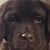 Jay Spencer's profile image