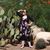 Nicole Penny Davis-Hastings's profile image