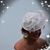 Susan Swanson's profile image