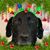 Mary Walker's profile image