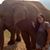 Jackie Packar's profile image