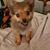Vicki Fitzpatrick's profile image