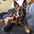 Jill Van Asten's profile image