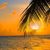 Melissa Casey Blair's profile image
