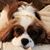 Margie Roe's profile image