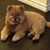 Christina Cuellar Hoke's profile image