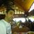 Luciano Freitas's profile image