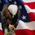 Jacqueline R Morey's profile image