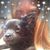 Terri Miller's profile image