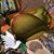 Carol A Johnson's profile image