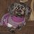 Christopher Mueller's profile image
