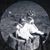 Ruth Tamulonis's profile image