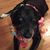 Debbie Robards's profile image
