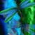Darla Grace's profile image