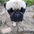 Cindy Berg's profile image