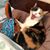 Cyndi Lou's profile image