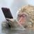 Neil McGinley's profile image