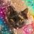 Maria Brownlow's profile image