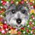 Gonzalez Chris's profile image