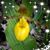 Barbara Louise Lund's profile image