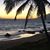Teresa Halford-Frazier's profile image