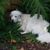 Gerald Carden's profile image