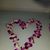 Mary Mincey Dickerson John's profile image