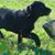 Cheri Bates's profile image