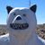 Matt Weitz's profile image