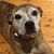 Jen Rinehart Blumenthal's profile image