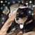 Mike Scamardo's profile image