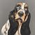 Julie Swope's profile image