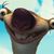 Leon Cassadore's profile image