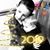 Susan Brodbeck's profile image